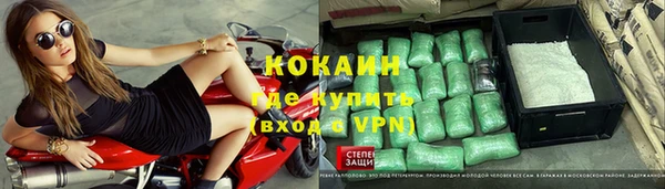 индика Бородино