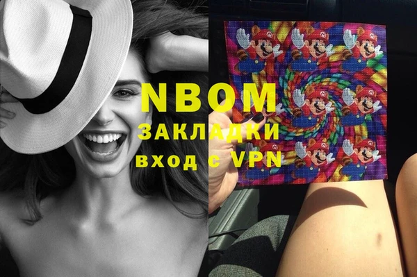 индика Бородино