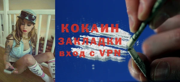 индика Бородино