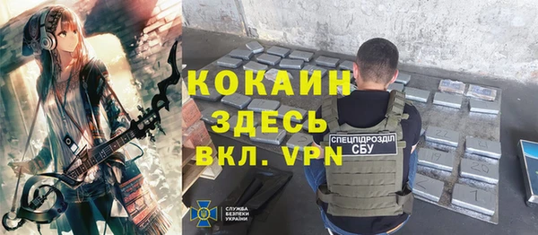 индика Бородино