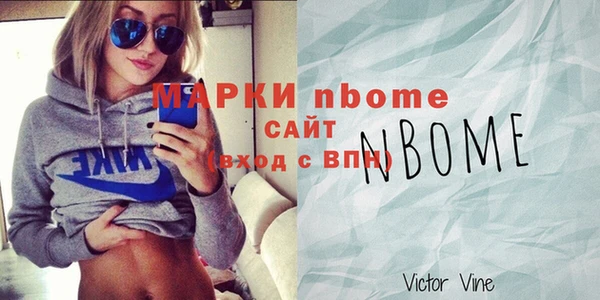 индика Бородино