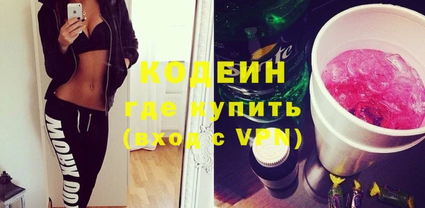 индика Бородино