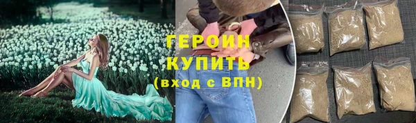 индика Бородино