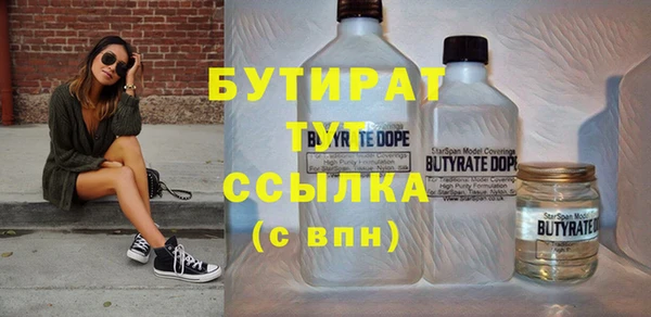 индика Бородино