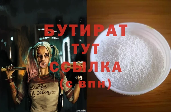 индика Бородино