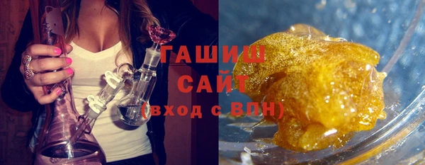индика Бородино