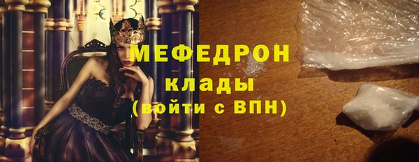 индика Бородино