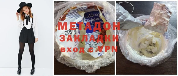 индика Бородино