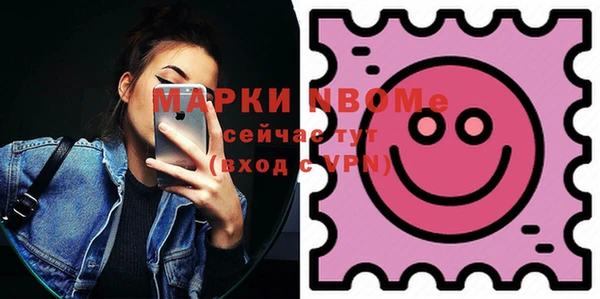индика Бородино