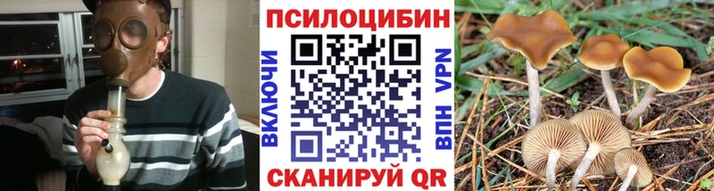 Псилоцибиновые грибы мицелий  Купить  Губкинский 