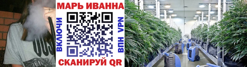 Купить Губкинский Каннабис тримм